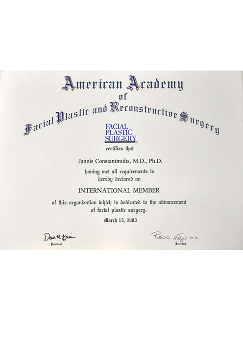 american academy